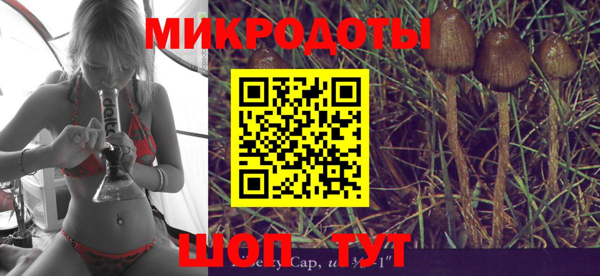 Псилоцибиновые грибы Psilocybine cubensis Алатырь