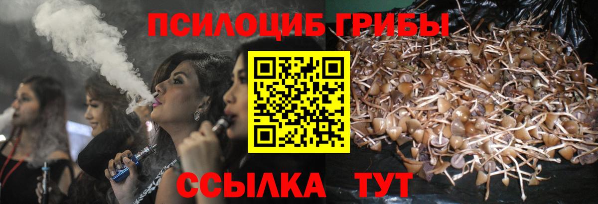 Галлюциногенные грибы мицелий  Вход с VPN  Алатырь 